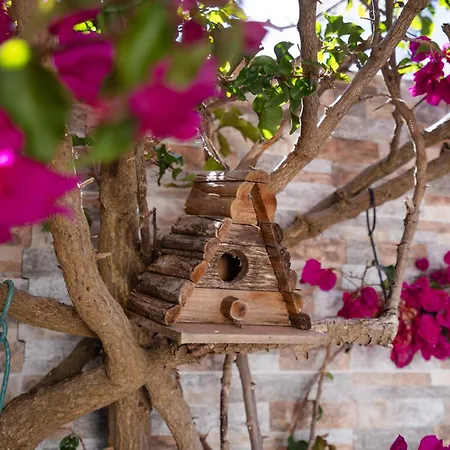 Casa O Cantinho Algarvio 別荘 オデセイシェ
